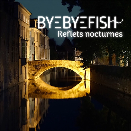 Listen to Reflets Nocturnes - Byebyefish